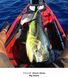 WERNER Shuna Hooked - весло с камуфляжным окрасом для рыбалки с каяка, 2-секційне весло, Веретено стандартного діаметру (STD), пряме веретено, 615 см.кв. (46см x 18.25см)